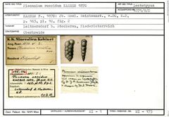 Karteikarte zum Lectotyp von Plecanium roscidum Karrer, 1870